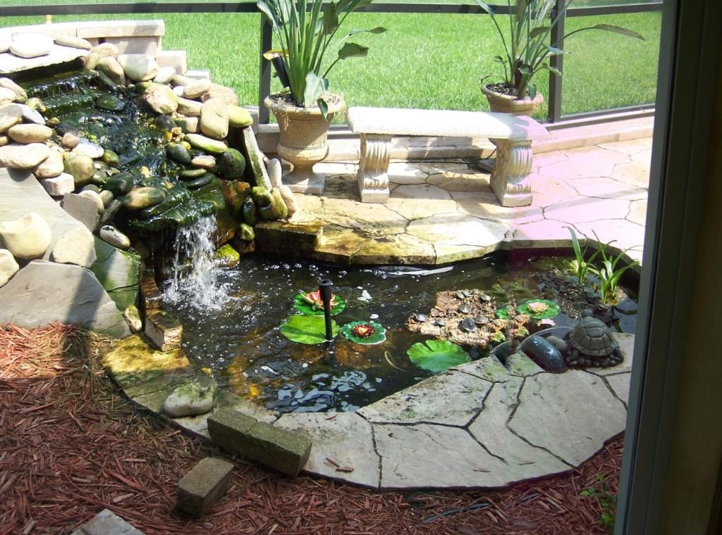 Nauti-Lass pond with waterfall, lily pads, and turtles