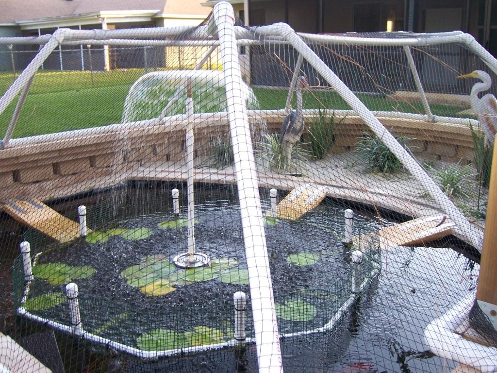 Nauti-Lass outdoor pond enclosure with netting, lily pads, and water feature