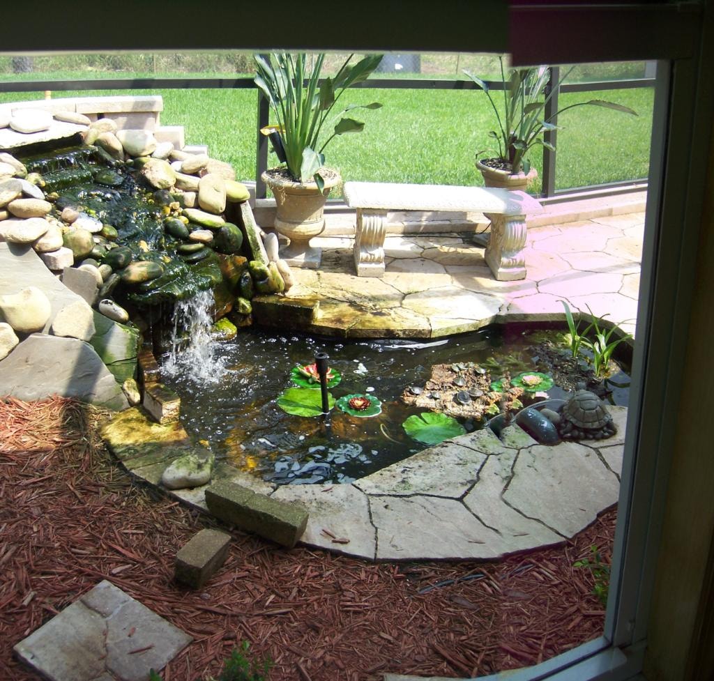 Finished in-ground pond with waterfall and turtles