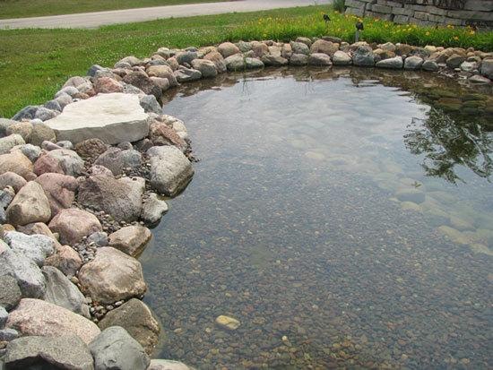 Rock-edged in-ground turtle pond